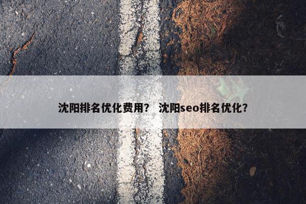 沈阳排名优化费用？ 沈阳seo排名优化？