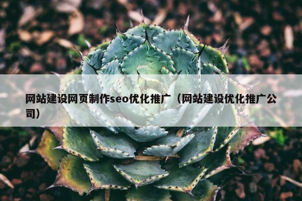 网站建设网页制作seo优化推广（网站建设优化推广公司）