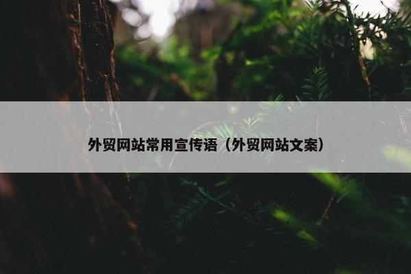 外贸网站常用宣传语（外贸网站文案）