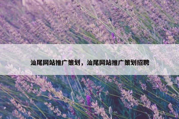 汕尾网站推广策划，汕尾网站推广策划招聘