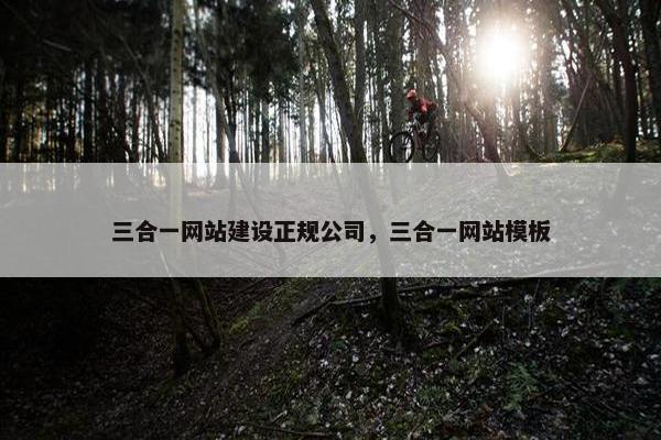 三合一网站建设正规公司，三合一网站模板