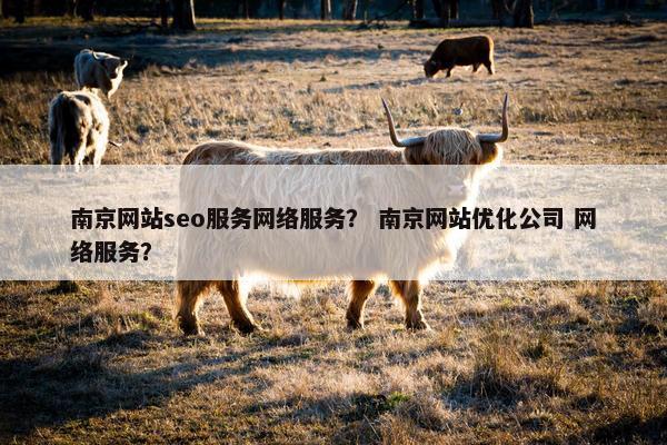 南京网站seo服务网络服务？ 南京网站优化公司 网络服务？