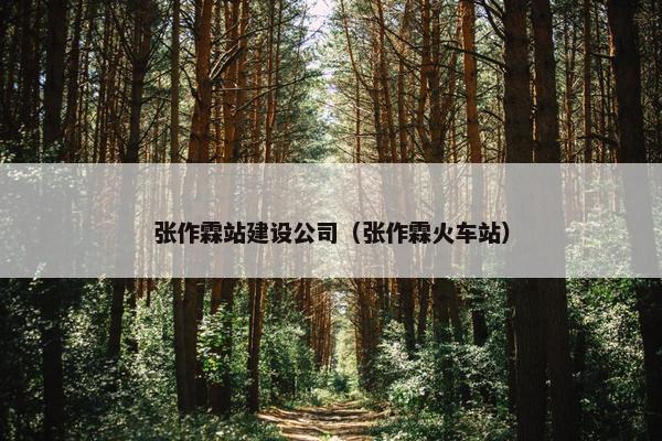 张作霖站建设公司（张作霖火车站）