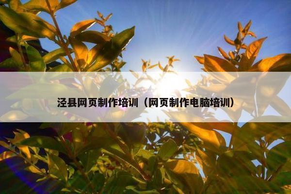 泾县网页制作培训（网页制作电脑培训）