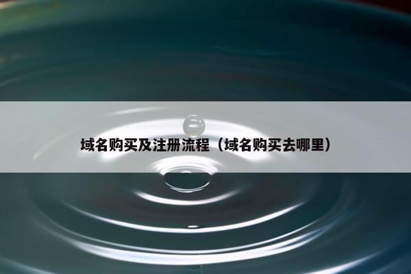 域名购买及注册流程（域名购买去哪里）