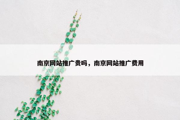 南京网站推广贵吗，南京网站推广费用