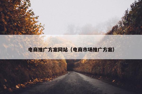 电商推广方案网站（电商市场推广方案）
