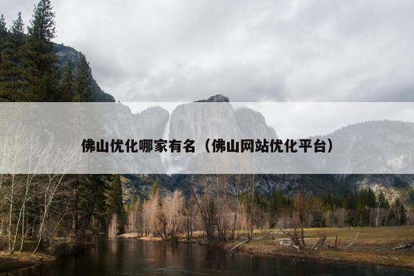 佛山优化哪家有名（佛山网站优化平台）