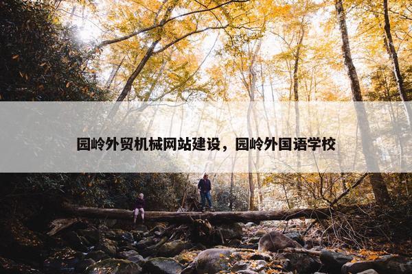 园岭外贸机械网站建设，园岭外国语学校