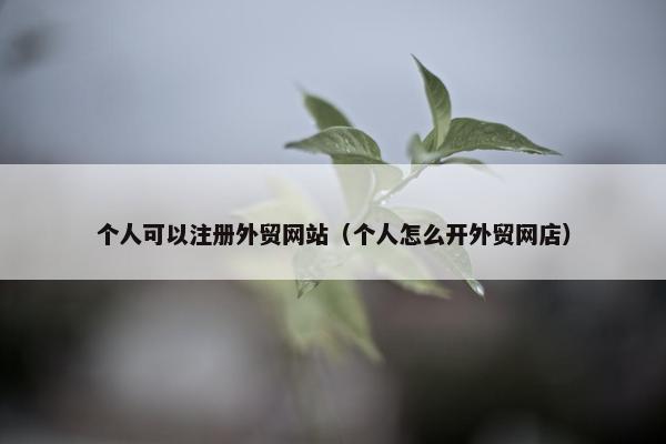 个人可以注册外贸网站（个人怎么开外贸网店）