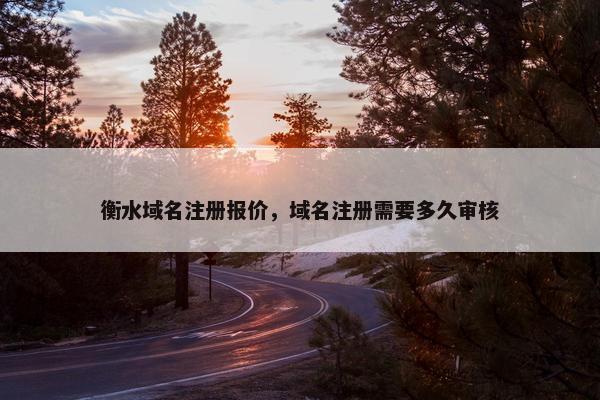 衡水域名注册报价，域名注册需要多久审核