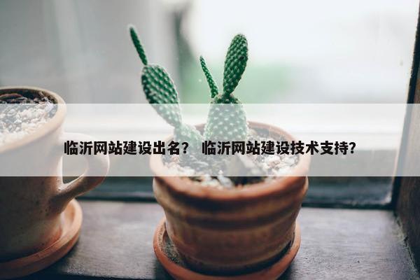 临沂网站建设出名？ 临沂网站建设技术支持？