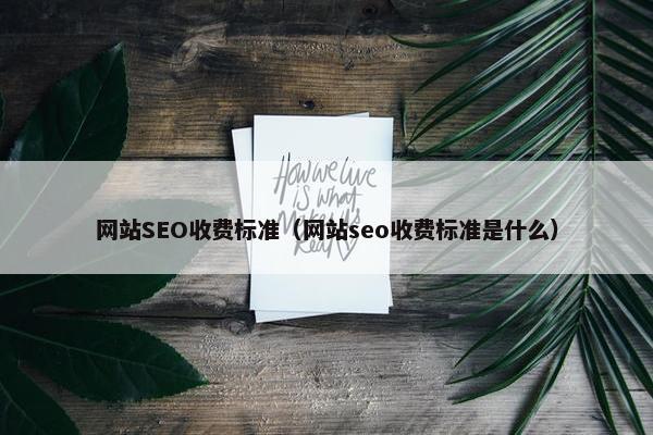 网站SEO收费标准（网站seo收费标准是什么）