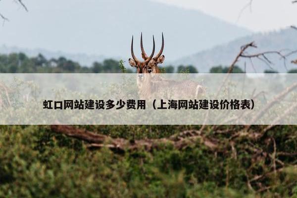 虹口网站建设多少费用（上海网站建设价格表）