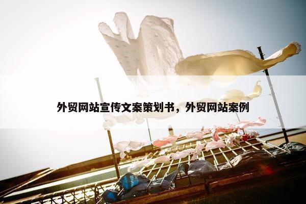 外贸网站宣传文案策划书，外贸网站案例