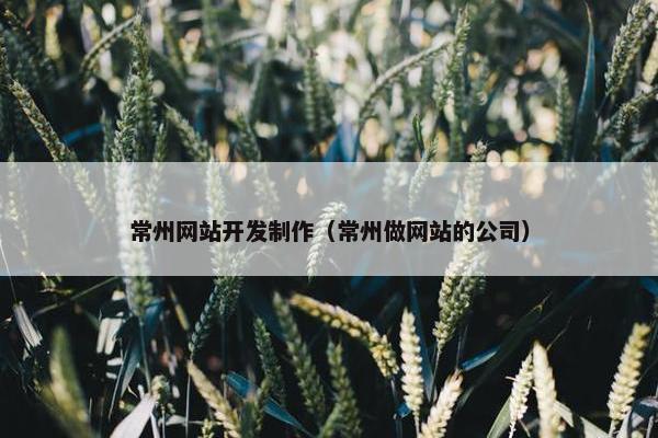 常州网站开发制作（常州做网站的公司）