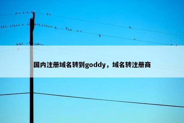 国内注册域名转到goddy，域名转注册商