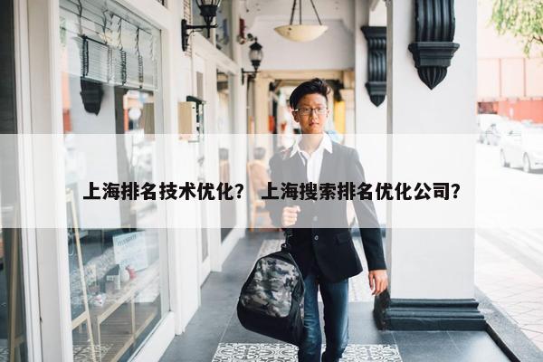 上海排名技术优化？ 上海搜索排名优化公司？