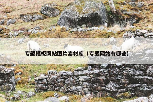 专题模板网站图片素材库（专题网站有哪些）