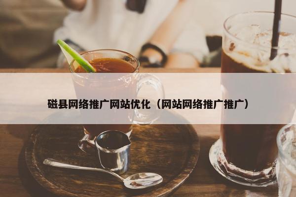 磁县网络推广网站优化（网站网络推广推广）