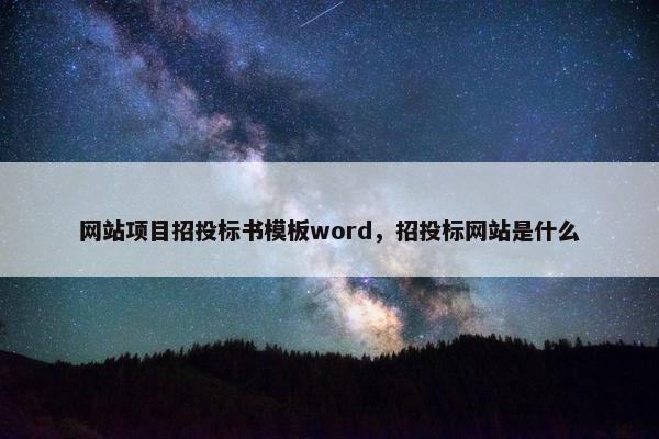 网站项目招投标书模板word，招投标网站是什么