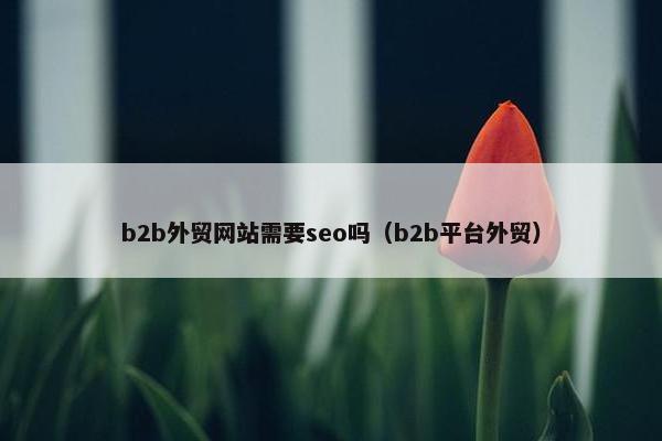b2b外贸网站需要seo吗（b2b平台外贸）