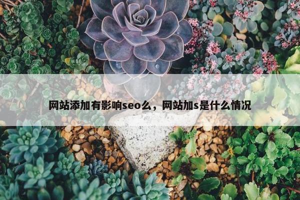 网站添加有影响seo么，网站加s是什么情况