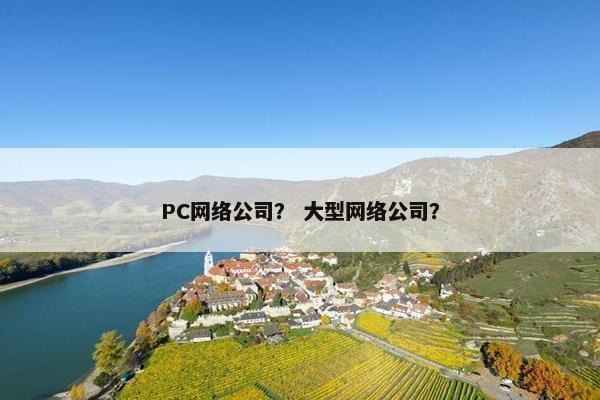 PC网络公司？ 大型网络公司？