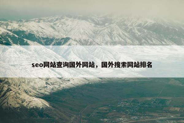 seo网站查询国外网站，国外搜索网站排名
