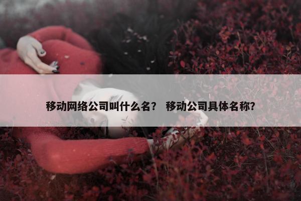 移动网络公司叫什么名？ 移动公司具体名称？