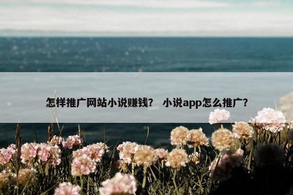 怎样推广网站小说赚钱？ 小说app怎么推广？