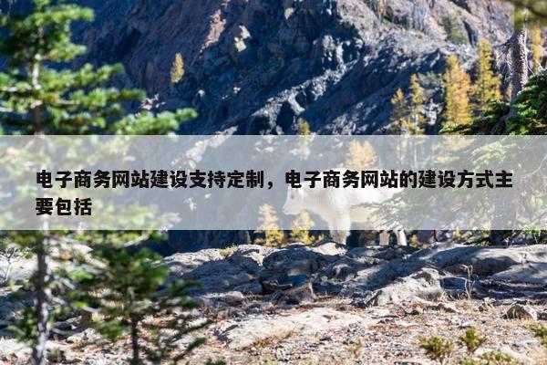 电子商务网站建设支持定制，电子商务网站的建设方式主要包括