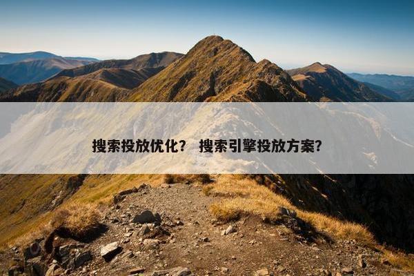 搜索投放优化？ 搜索引擎投放方案？