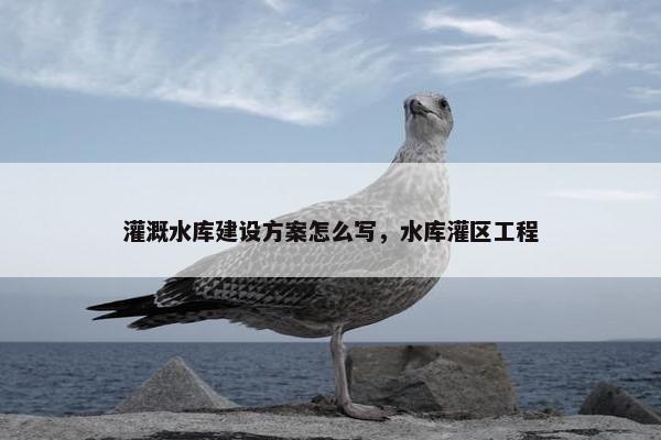 灌溉水库建设方案怎么写，水库灌区工程
