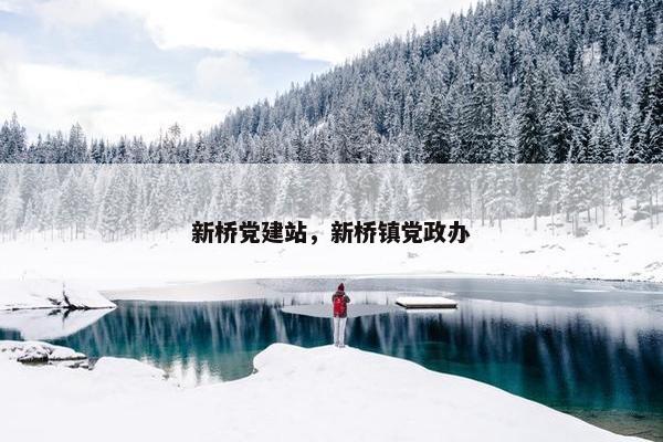新桥党建站，新桥镇党政办