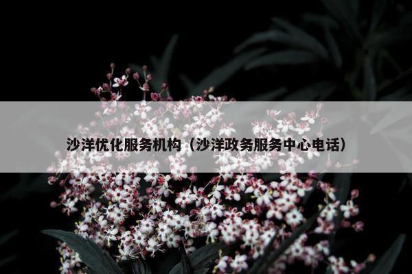 沙洋优化服务机构（沙洋政务服务中心电话）