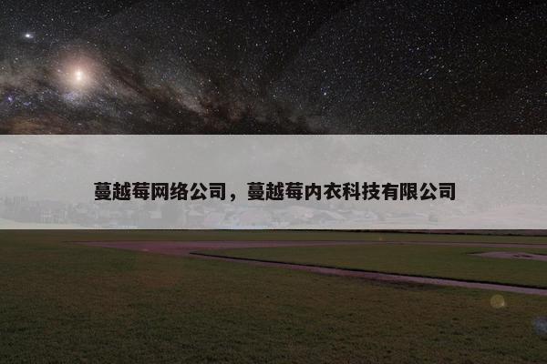蔓越莓网络公司，蔓越莓内衣科技有限公司