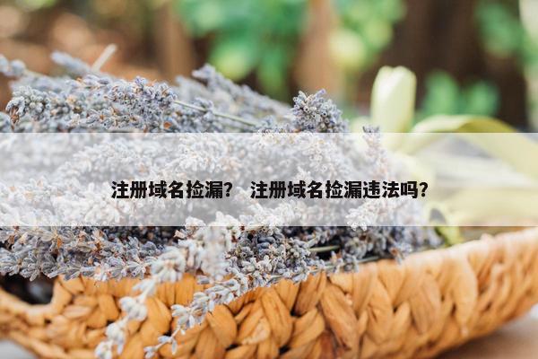 注册域名捡漏？ 注册域名捡漏违法吗？