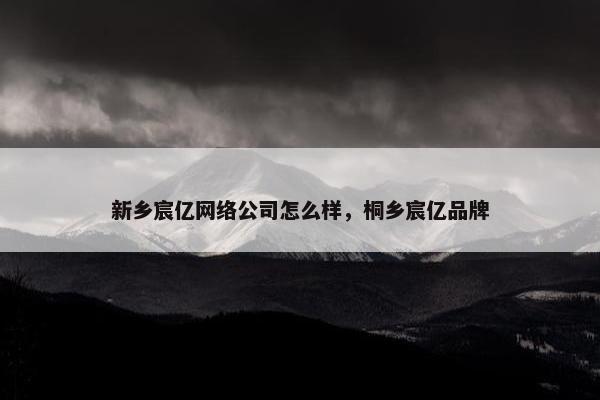 新乡宸亿网络公司怎么样，桐乡宸亿品牌