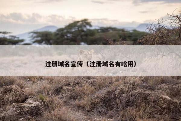 注册域名宣传（注册域名有啥用）