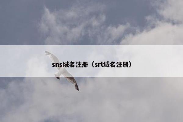 sns域名注册（srl域名注册）