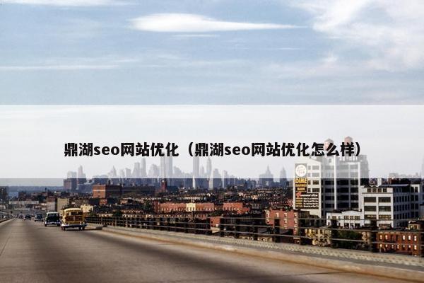 鼎湖seo网站优化（鼎湖seo网站优化怎么样）