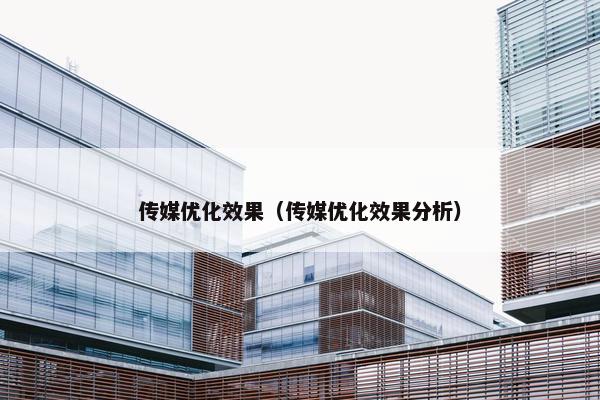 传媒优化效果（传媒优化效果分析）