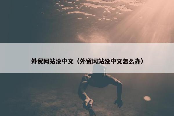 外贸网站没中文（外贸网站没中文怎么办）
