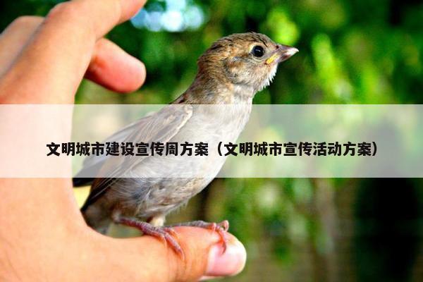 文明城市建设宣传周方案（文明城市宣传活动方案）