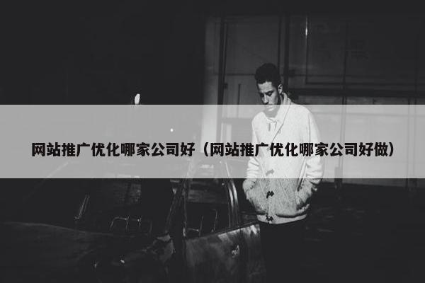 网站推广优化哪家公司好（网站推广优化哪家公司好做）