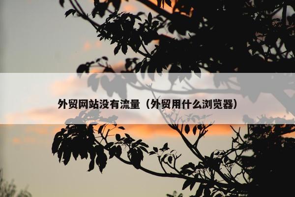 外贸网站没有流量（外贸用什么浏览器）