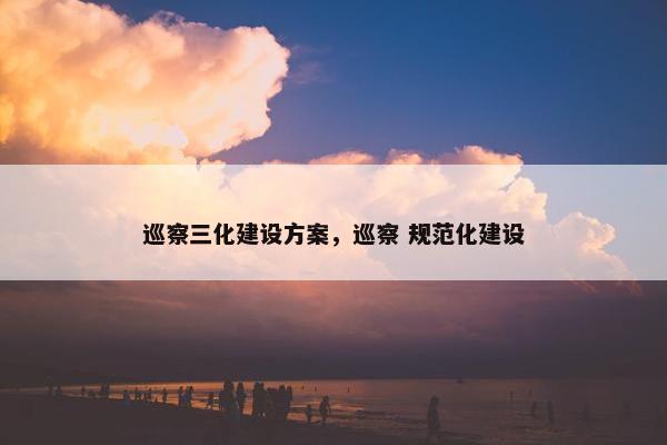 巡察三化建设方案，巡察 规范化建设