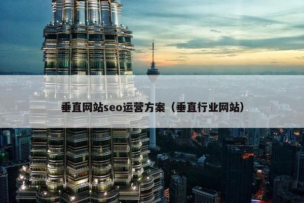 垂直网站seo运营方案（垂直行业网站）