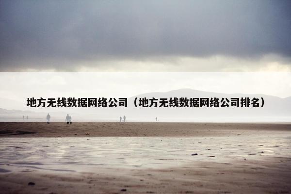 地方无线数据网络公司（地方无线数据网络公司排名）